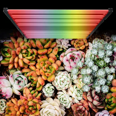 O LED UV impermeável do espectro completo de 720W 1000W cresce luzes para plantas de interior